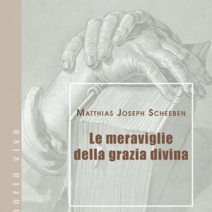 Le meraviglie della grazia divina